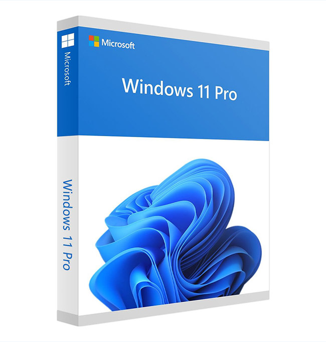 Windows 11 Pro
